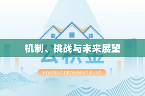 福山机制、挑战与未来展望